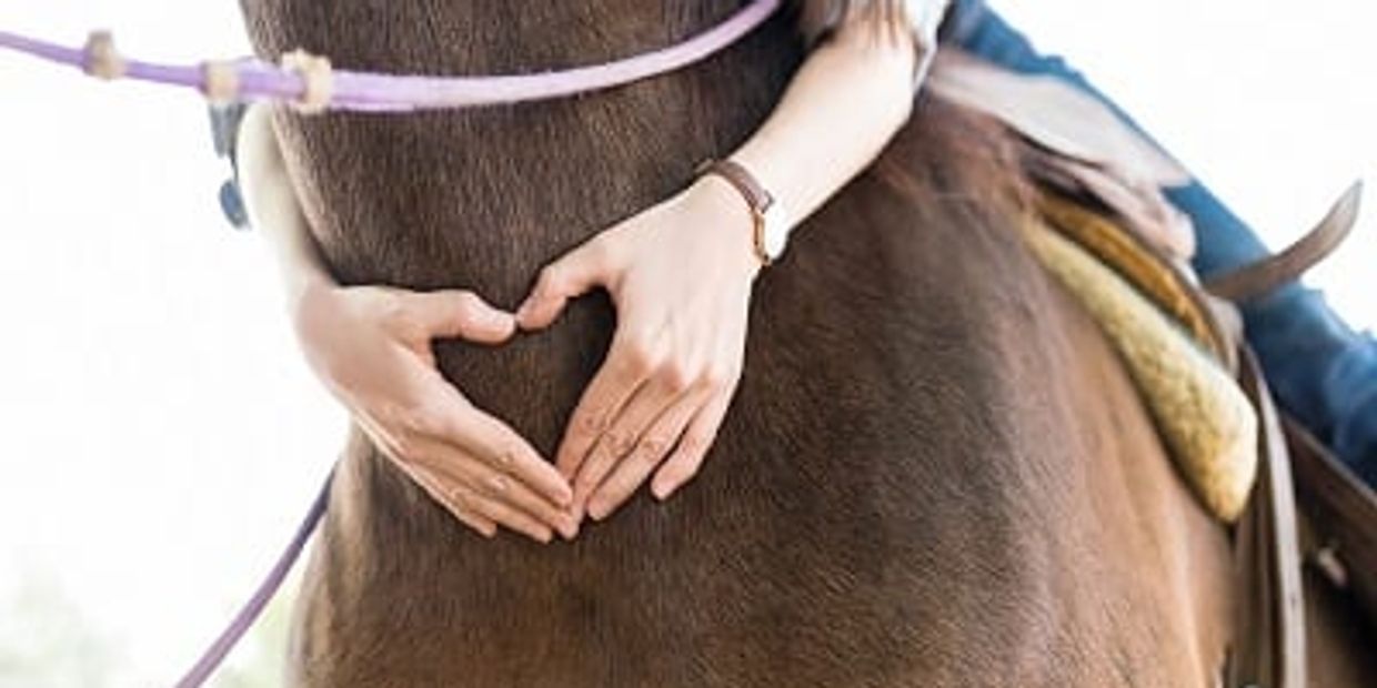 Equine Therapy Perth