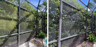 Two images showing a screened patio enclosure with lush green plants outside.