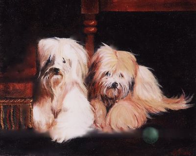 Oil painting to two fluffy dogs.