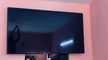 Flat-screen TV mounted on a pink wall above decorative shelves with plants and flowers.