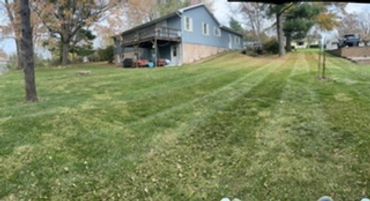 this lawn is looking amazing after a fresh lawn mowing. lawn care done right.