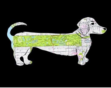 Silhouette of a dachshund filled with a colorful map design on a black background.