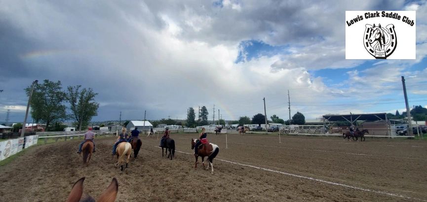 Royalty – Western Saddle Clubs Association, Inc.