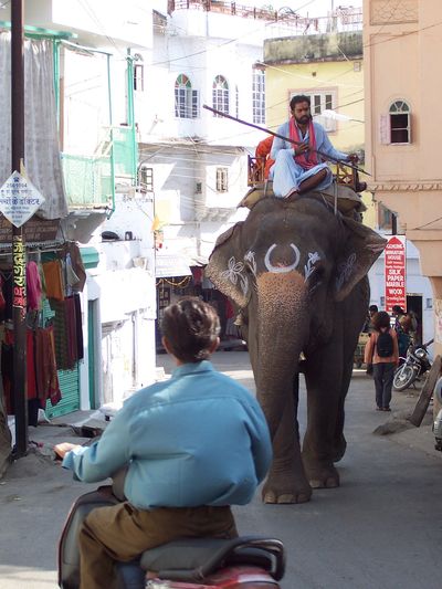 Old City Udaipur: Namaste India Tours
