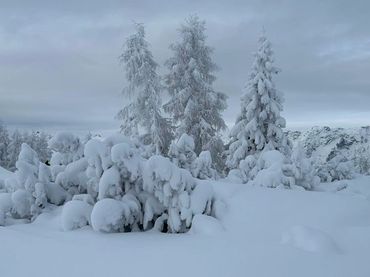 Winterlandschaft Hinterstoder Höss