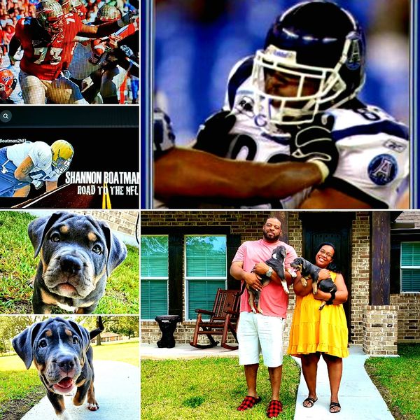 Retired NFL player Shannon Boatman and his wife at their home for delivery for #2 SETX Bully pups!