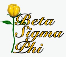 Beta Sigma Phi
Online Xi