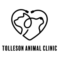 99th Avenue and Lower Buckeye Animal Clinic