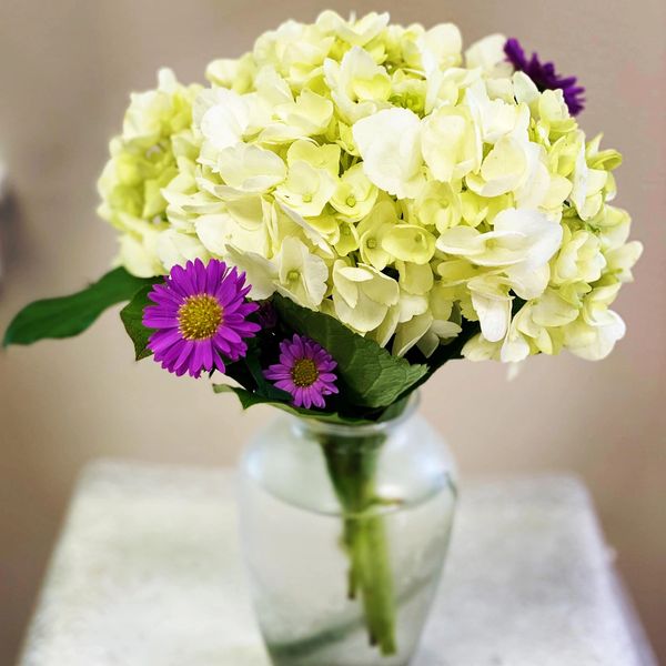 White Hydrangea Vase