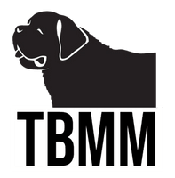 TBMM LLC