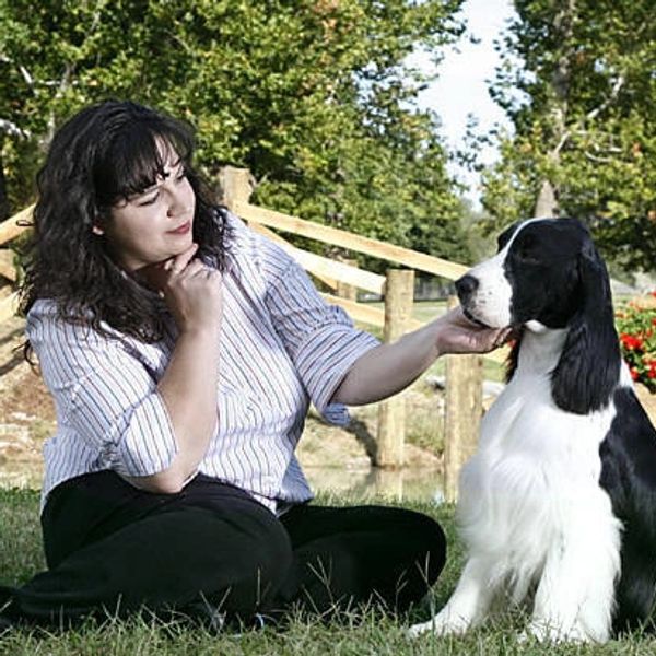 Pet groomer providing toothbrushing service at the best pet grooming services in Thompson C