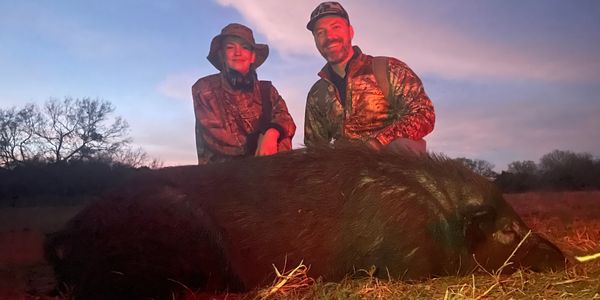 Hog Hunting
