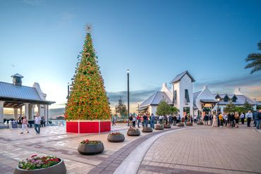 Holiday Photographer and videographer in Venice, Lakewood Ranch, Wellen Park, Sarasota, Florida.