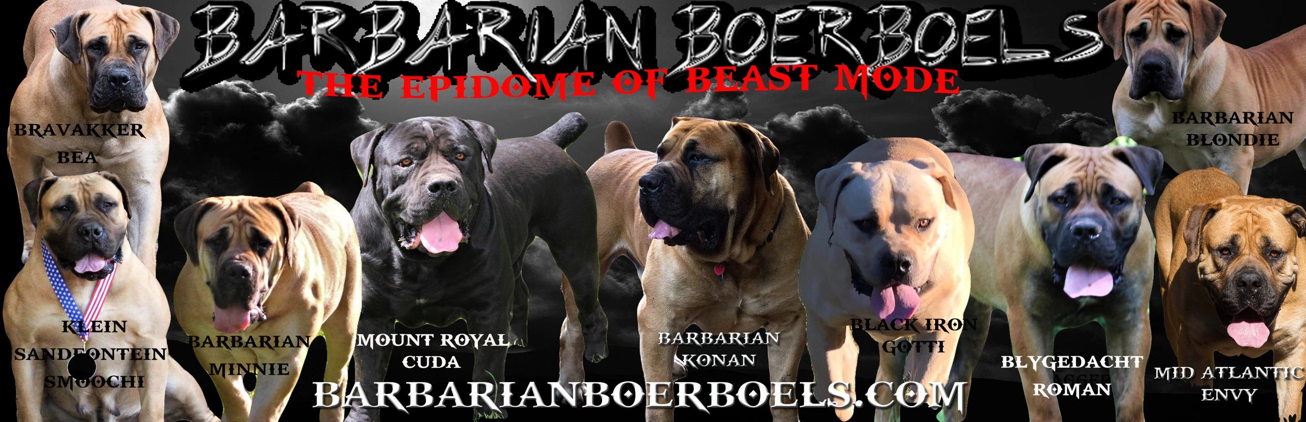 HOME Barbarian Boerboels