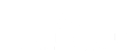 LGE Consulting