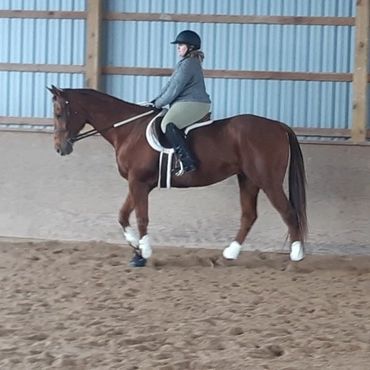 Riding lesson practicing flat work