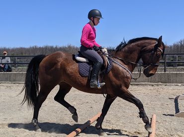 Practicing trot poles during a riding lesson