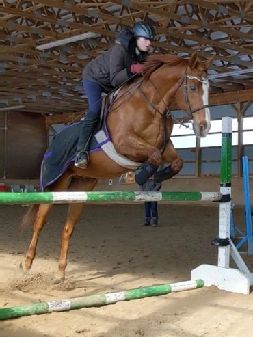 Jumping lesson in the indoor arena