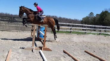 Outdoor jumping lesson in the sand ring