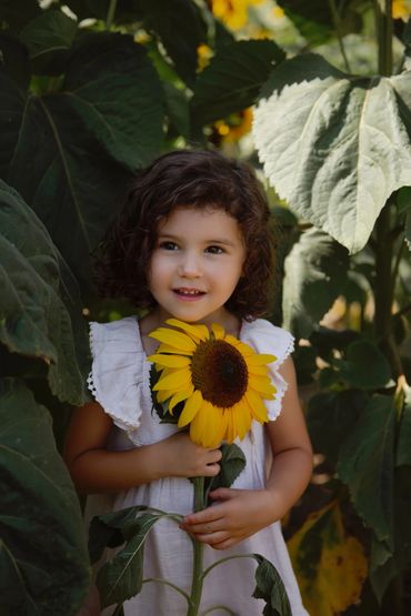beautiful girl in the sunflower fields