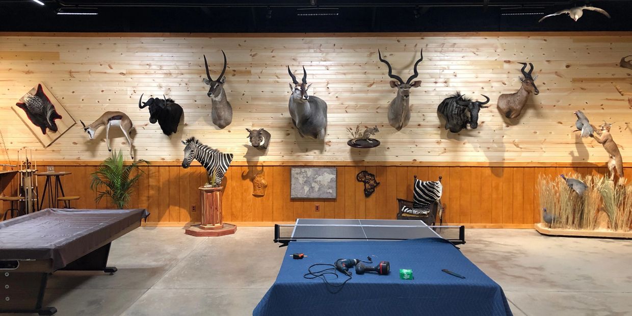 Nature's Image Taxidermy created this trophy room of animals for one of their customers.