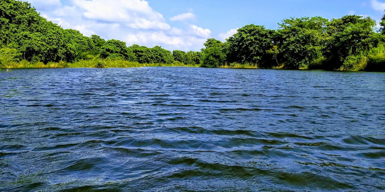 A peaceful lake surrounded by lush green trees under a blue sky.
