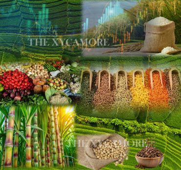 Sugar, rice, soybean, coffee, cacao, more