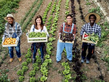 Happy farmers make for excellent crops