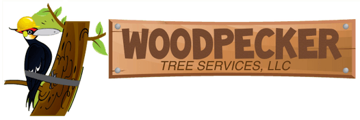 Woodpecker Tree Services