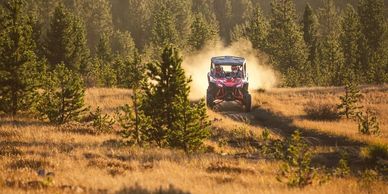 Williams UTV adventure