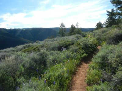 Trail along Riley Point