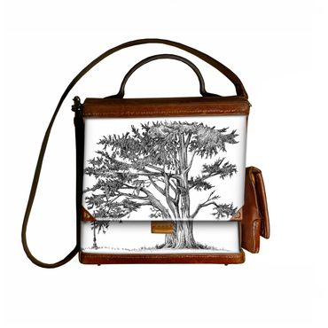 Pen and Ink drawing I did of a Monterey Cypress called "Dog Hill Tree". It's located in Alamo Square