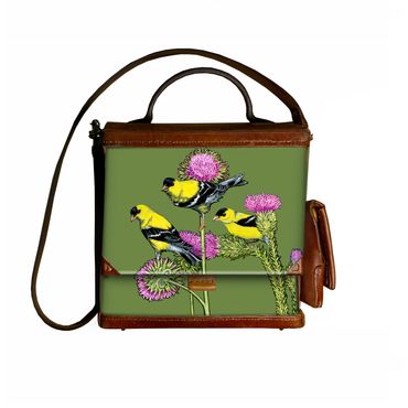 Trio of male Lessers Finches on Thistle stalks. Males gather thistle-down for nesting material.