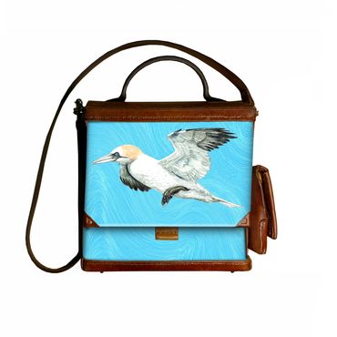 Northern Gannet in flight on a blue sky