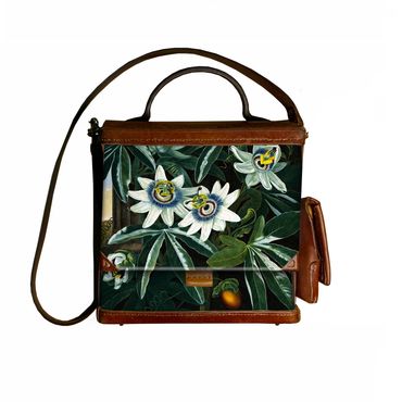 Blue Passion Flower painted as part of Robert Thornton's Floral World Atlas published in 1807