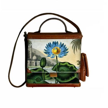 Blue Egyptian Water Lily painted as part of Robert Thornton's Floral World Atlas published in 1807.