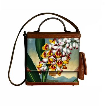 Nodding Renealmia painted as part of Robert Thornton's Floral World Atlas published in 1807.