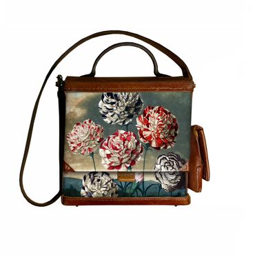 Carnations painted as part of Robert Thornton's Floral World Atlas published in 1807.