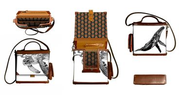 Drawn with pen & ink a sea turtle I met in the Bahamas says hi, a humpback whale graces the back.