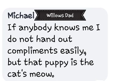 Michael bought his pup a few years ago. We went to school together, many years ago.