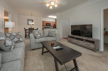 Furnished apartment home living room and kitchen at Greystone Farms Reserve