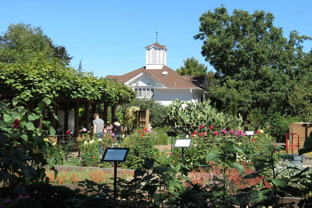 More recent view of a portion of the experimental gardens.
Luther Burbank Home and Gardens