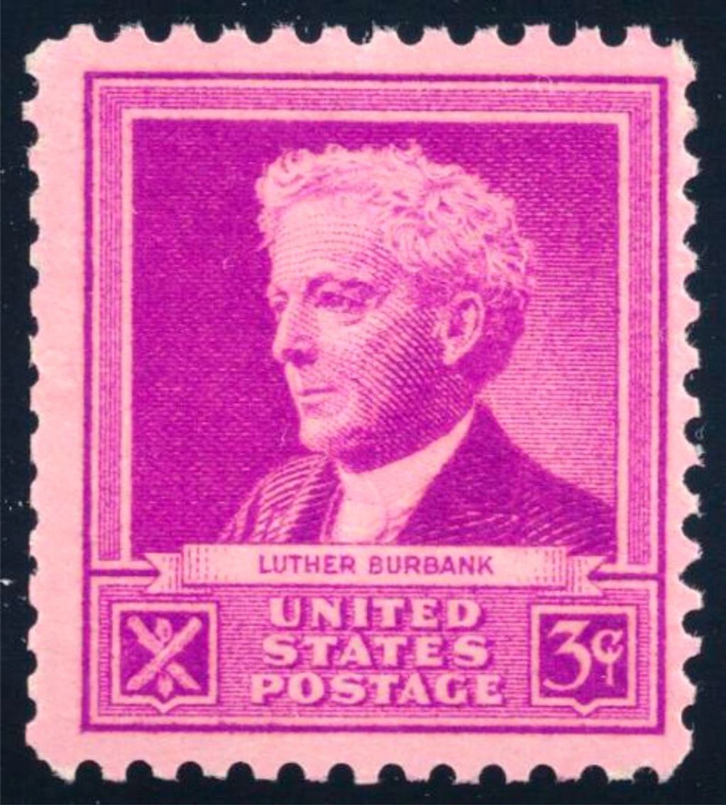 U.S. Stamp from 1940 honoring Burbank