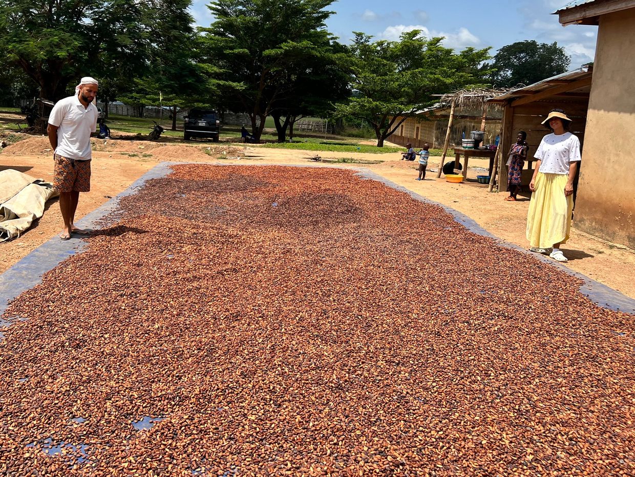 People stand near drying cocoa beans spread out on a large tarp outdoors.