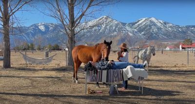 Person with horses next to a massage table outdoors.