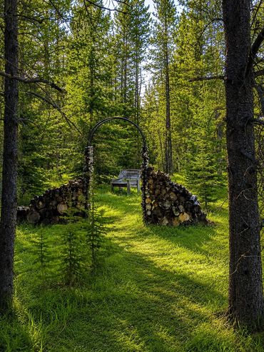 Forest path through a log arch to a bench in the sunlit forest.
