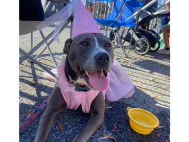 Hannah on her first birthday.