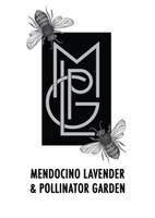 Mendocino Lavender & Pollinator Garden 
at Foursight Wines