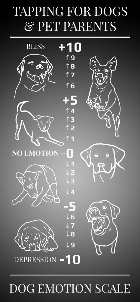 Dog Emotion Scale © Jen G. Pywell / Dog Energist