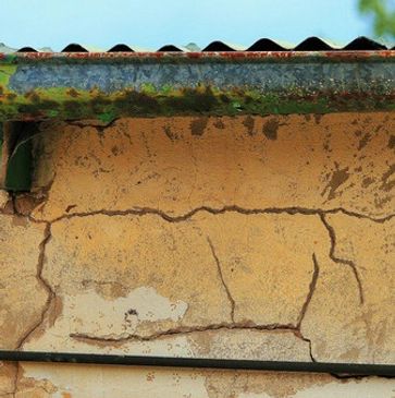 Termite damage to house